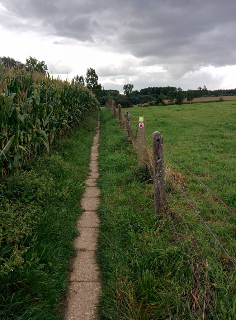 Natuurpunt - Den Dotter - Go Hike