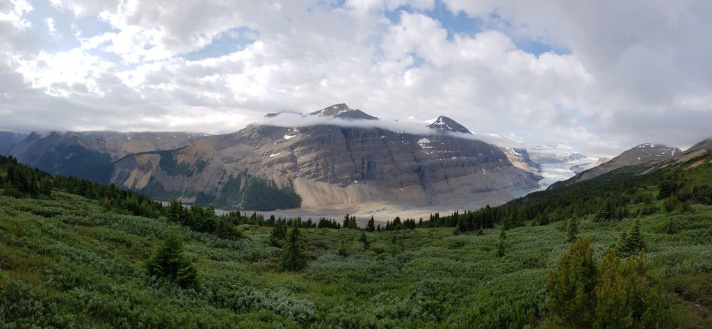 Saskatchewan glacier