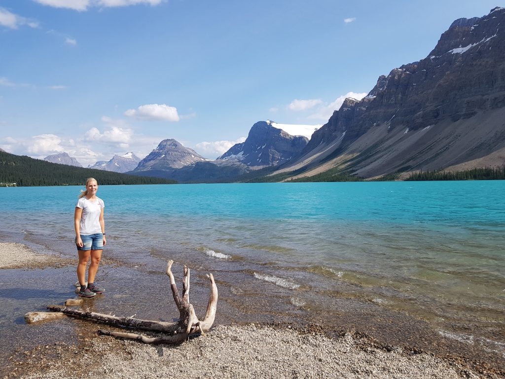 Bow lake