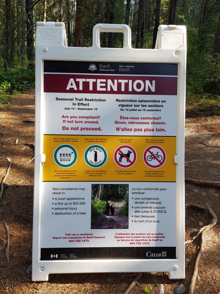 Lake Minnewanka Trail