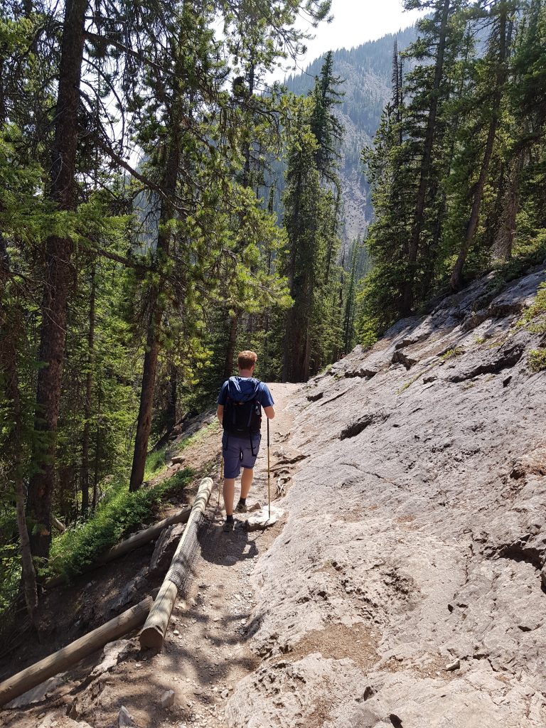 Sulphur mountain trail